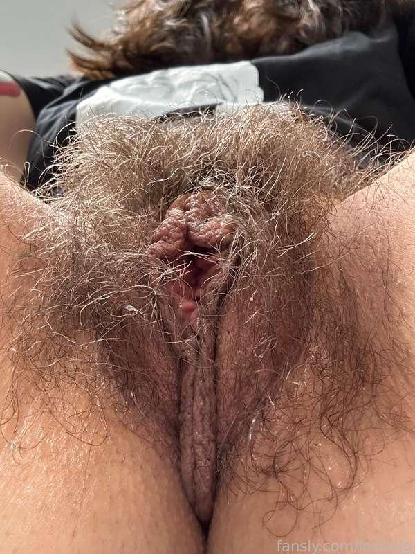 lostodg image #3