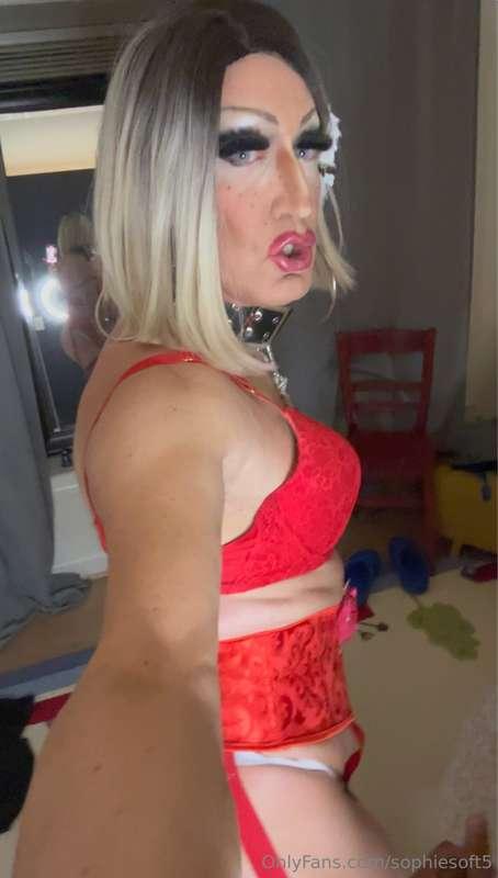 sophiesoft5 image #13