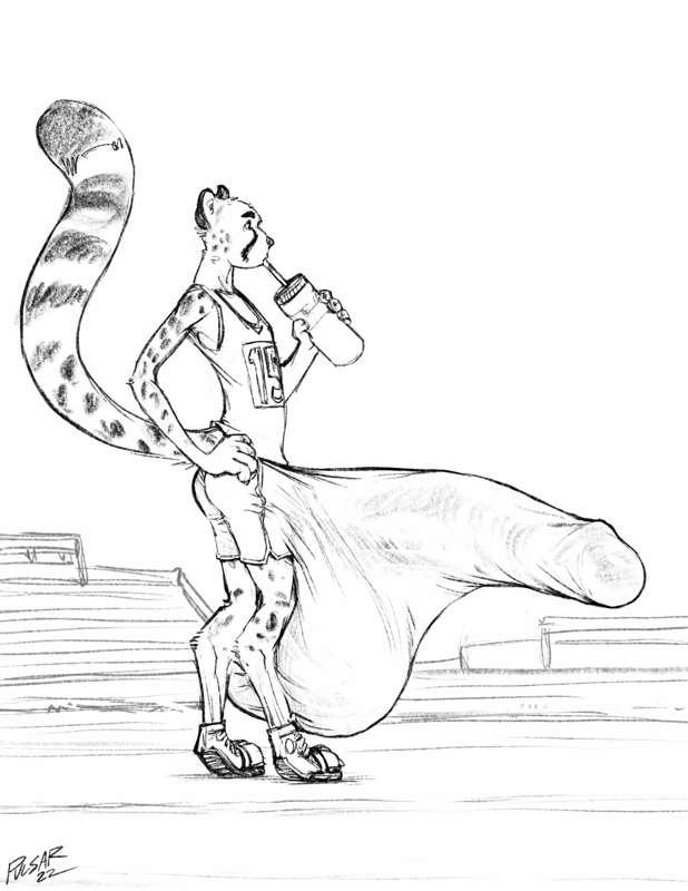 Cheetah Runner