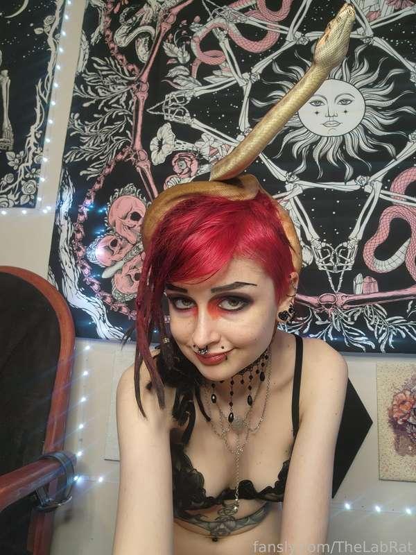 thelabrat image #2