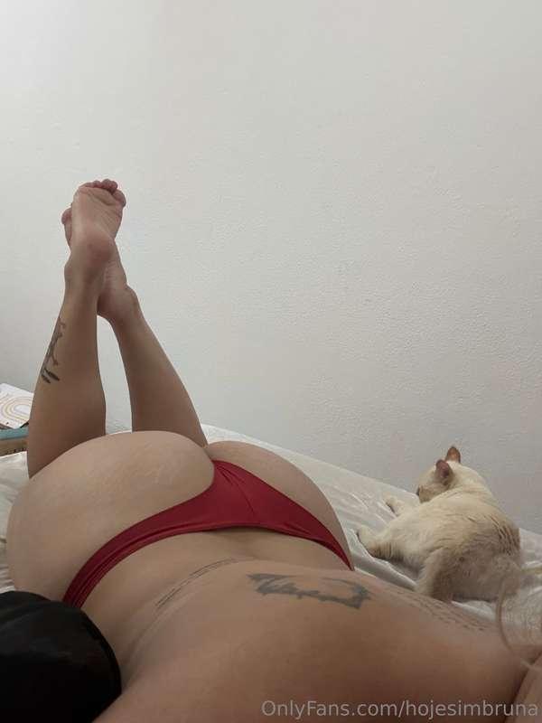 nude da preguiça 