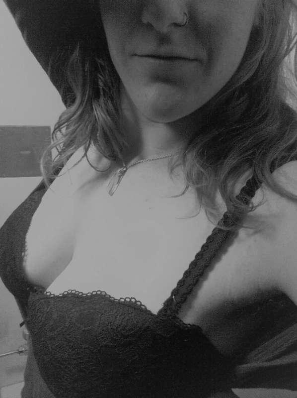 pumpkinpatchof image #2