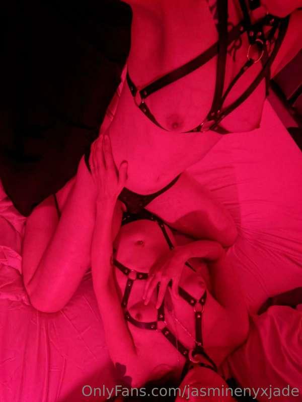 We love harnesses!