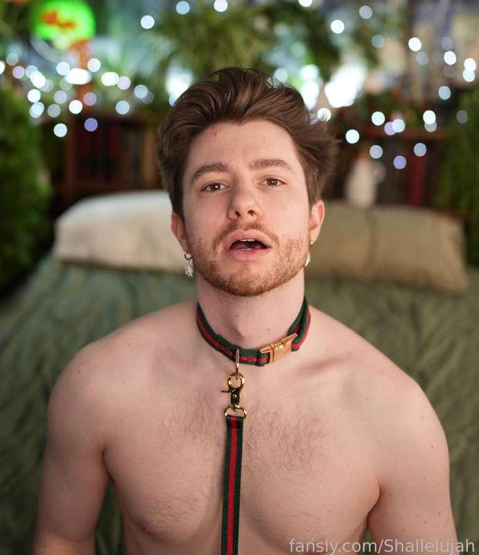 shallelujah image #2