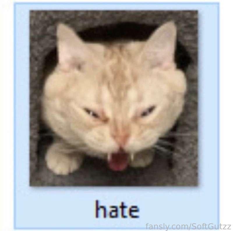 softgutzz image #12