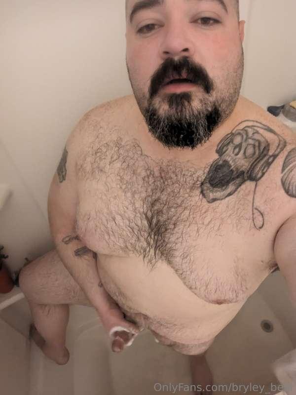 bryley_bear image #0