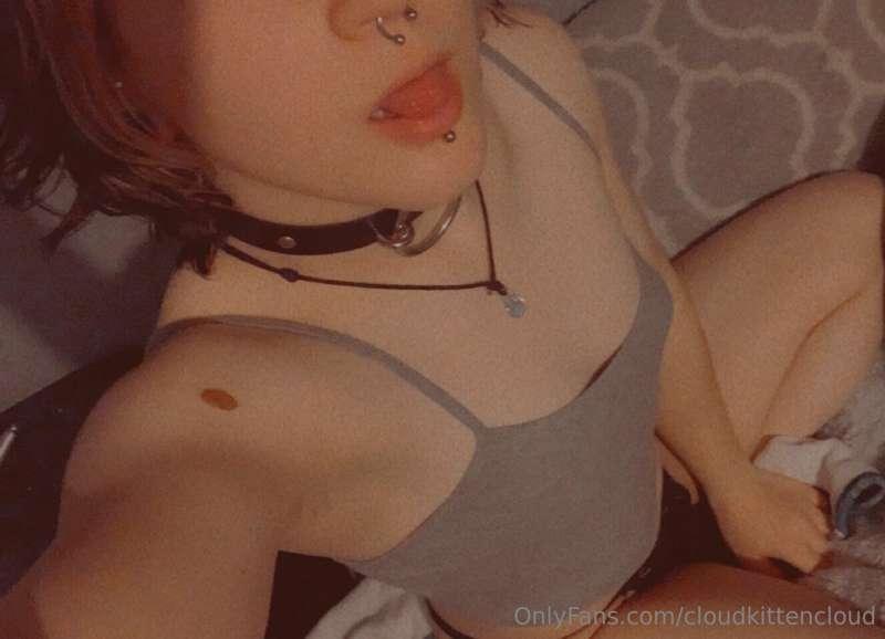 cloudkittencloud image #3
