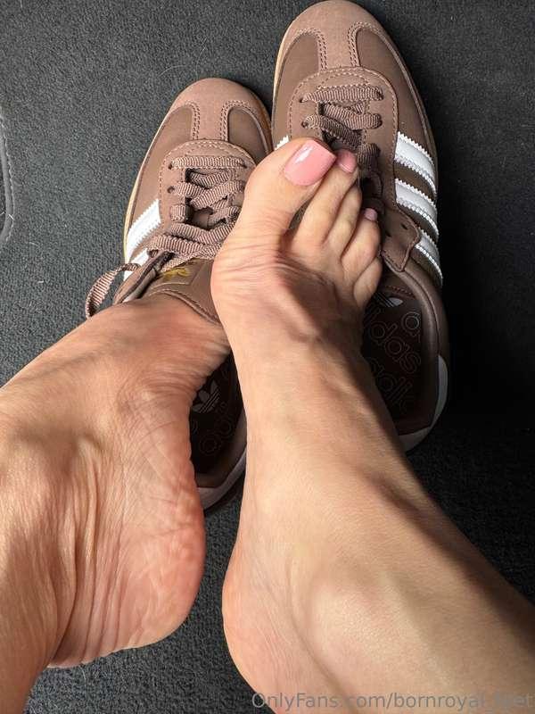 bornroyal_feet image #7