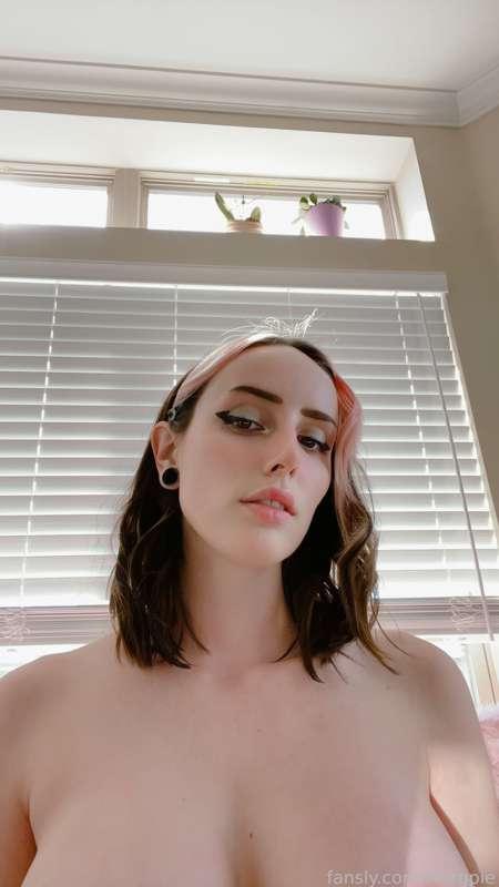 morgpie image #16