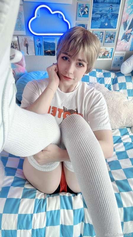 indigowhite image #100