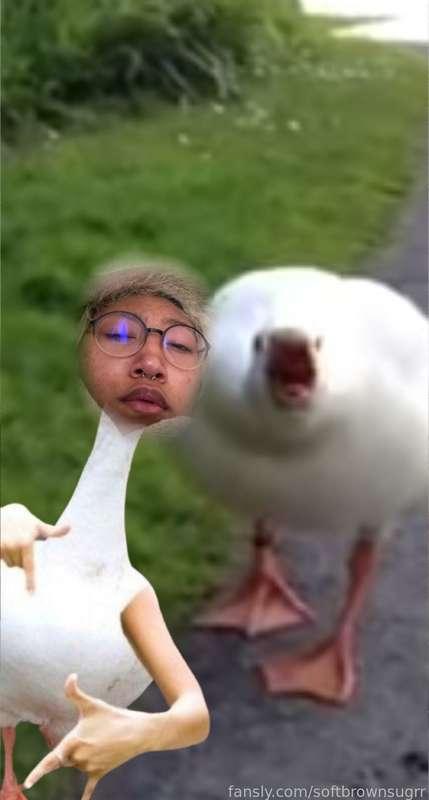 softbrownsugrr image #3