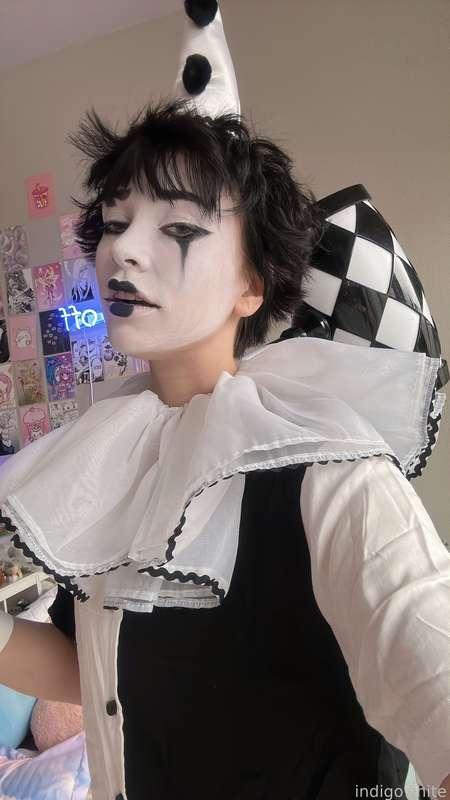 indigowhite image #24