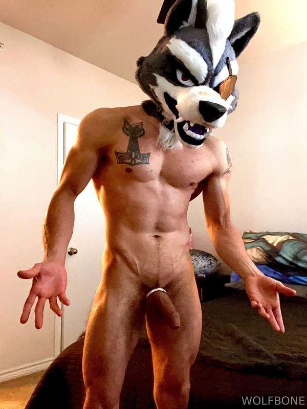 frute_brute image #0