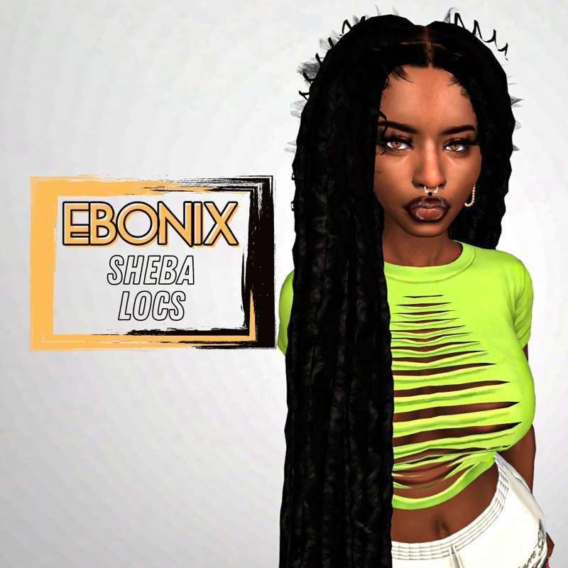 Sheba Locs