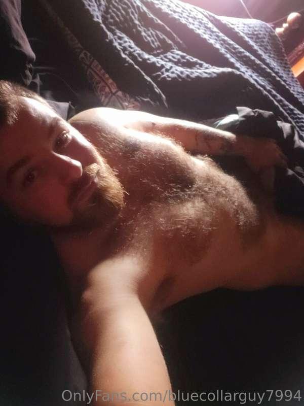 Let's lay in bed all day!!