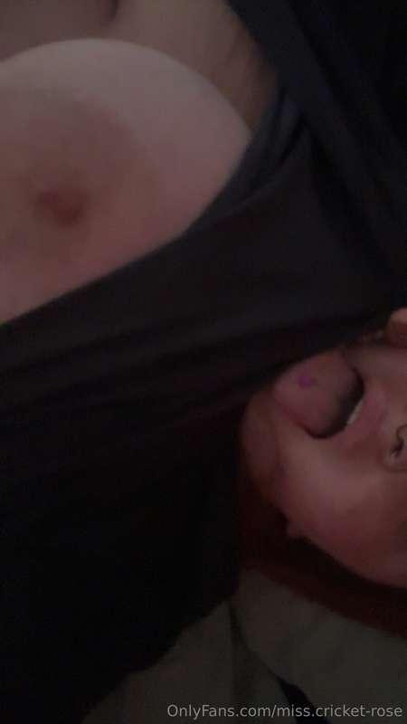 Trying to get back to posting daily. 