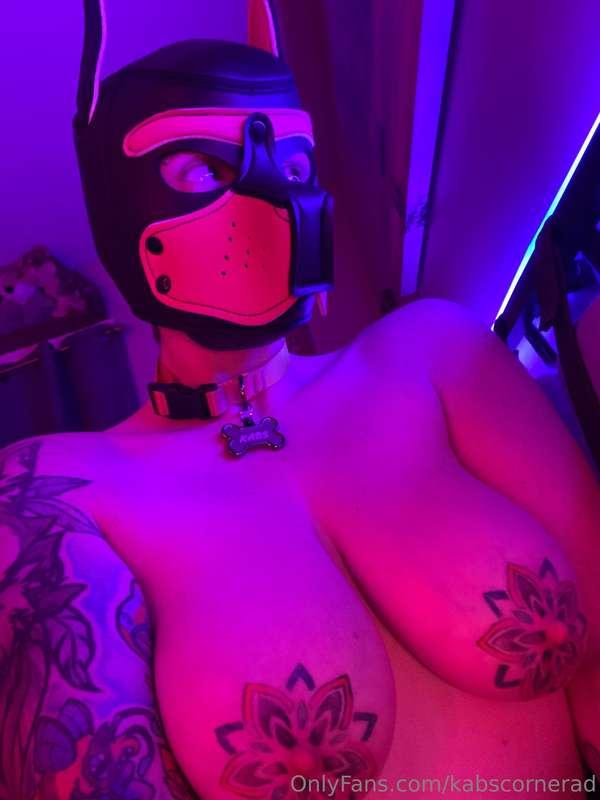 🐾 This puppy wants to play~ you gonna leave her waiting, or ..