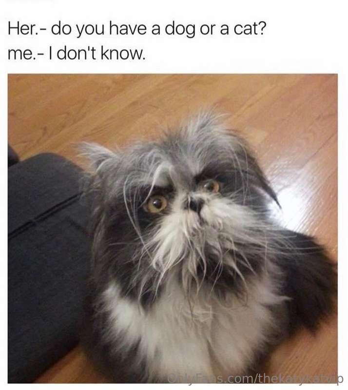Meme of the Day!