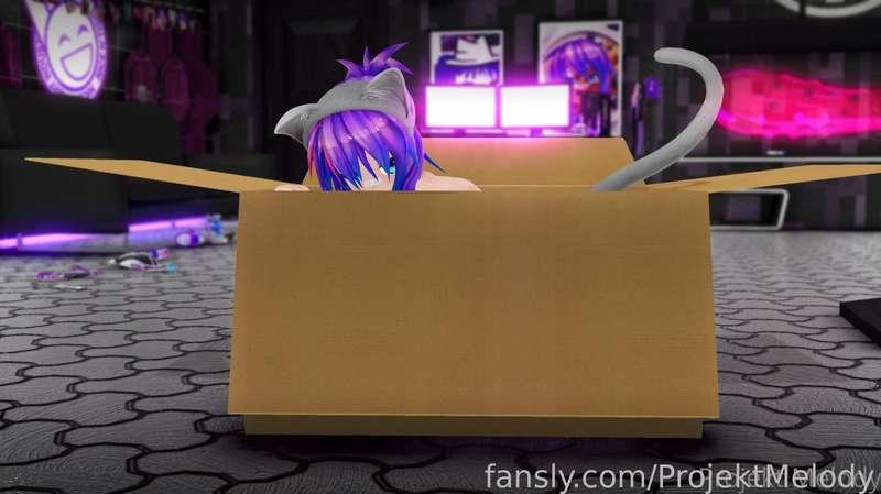 projektmelody image #8