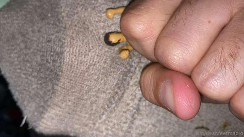 quit the struggle