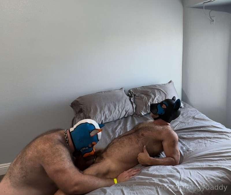 hairypiggydaddy image #4