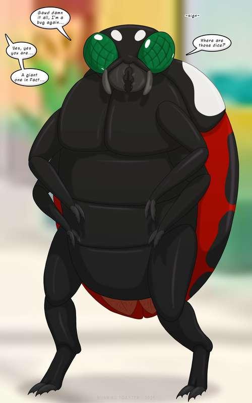 [Fates] Ladybug
