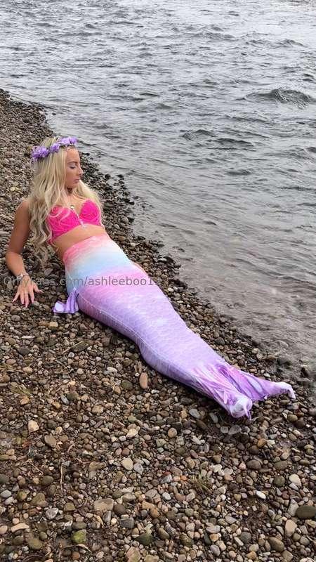 I smell something fishy 