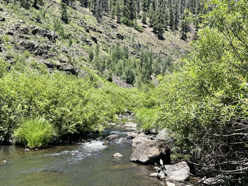 Fine… I’ll camp on the river… 