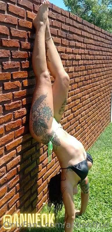 @anneok ✨ @anneok ✨ @anneok

🔞🔥FREE SUBSCRIPTION FREE SUBSCR..