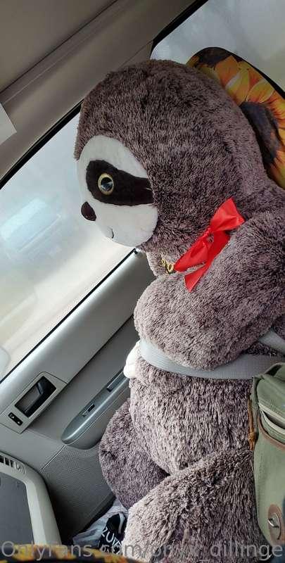 Anybody wanna watch me put a strap on my new slothy boy and ..