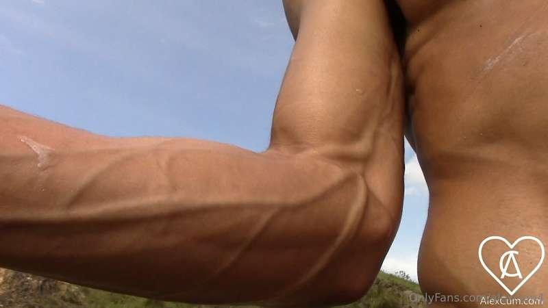 veins