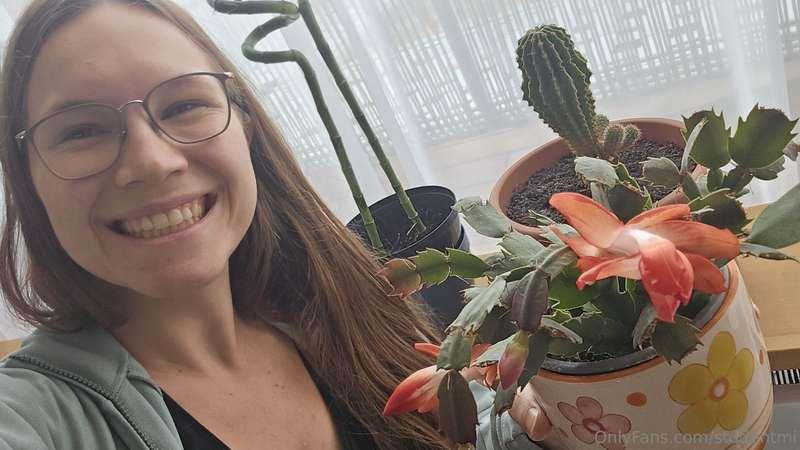 🌸🌵