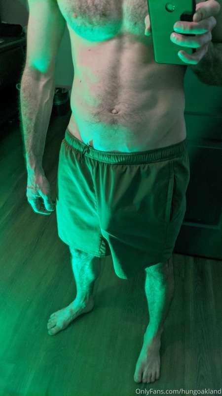 hungoakland image #1