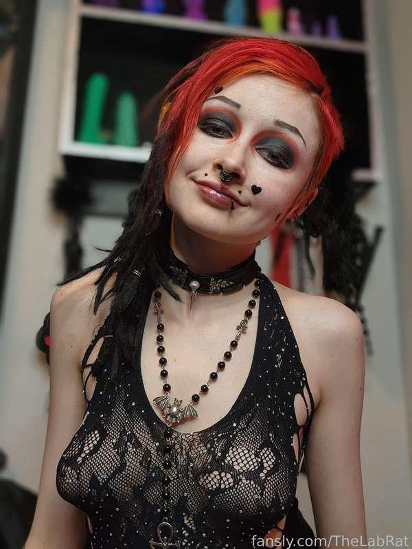 thelabrat image #1