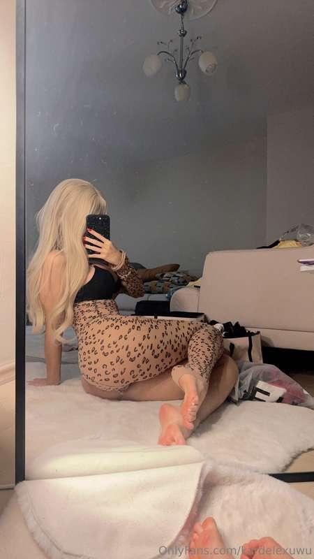 kardelex image #5
