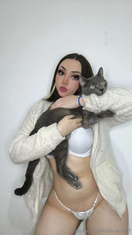 Say hello to Python 😼😽🐈