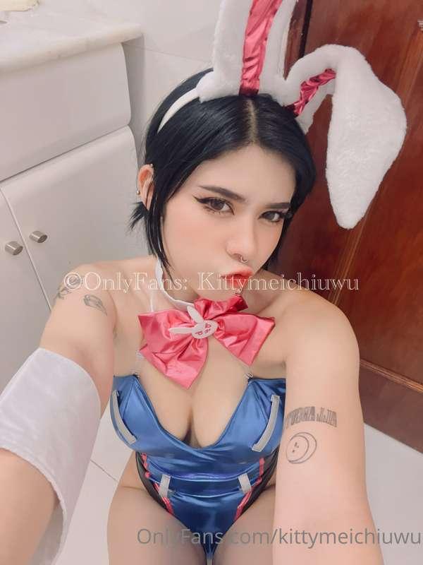 wildkittynyan image #18