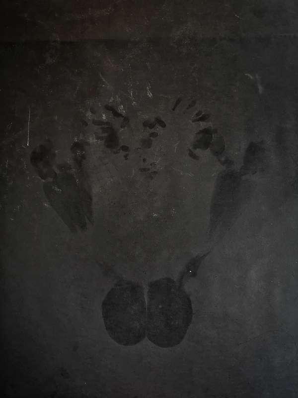 These are my body oil smudges from posing on the studio pape..