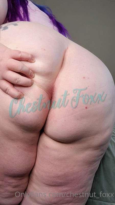 chestnut_foxx image #2