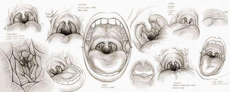 Gullets