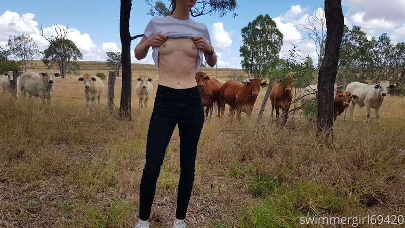So I've been telling my partner lately how great cows are an..