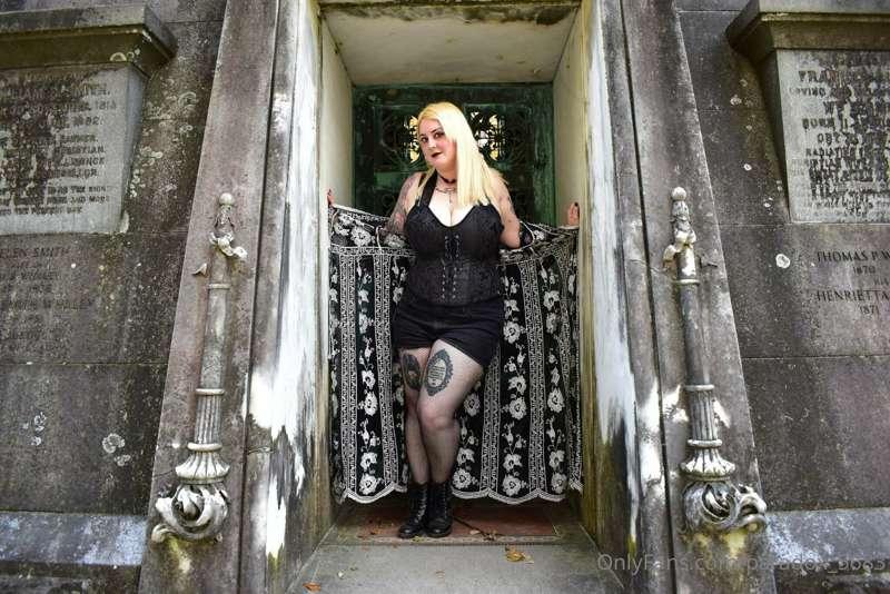 paradox_5683 image #17