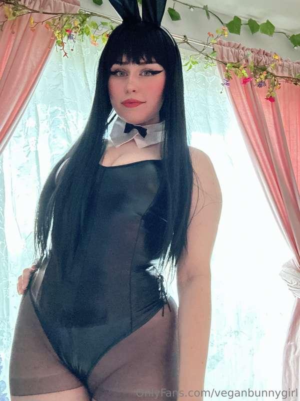 veganbunnygirl main image