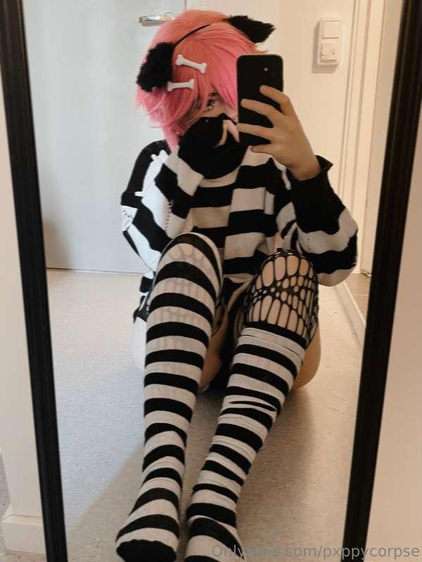 pxppycorpse image #12