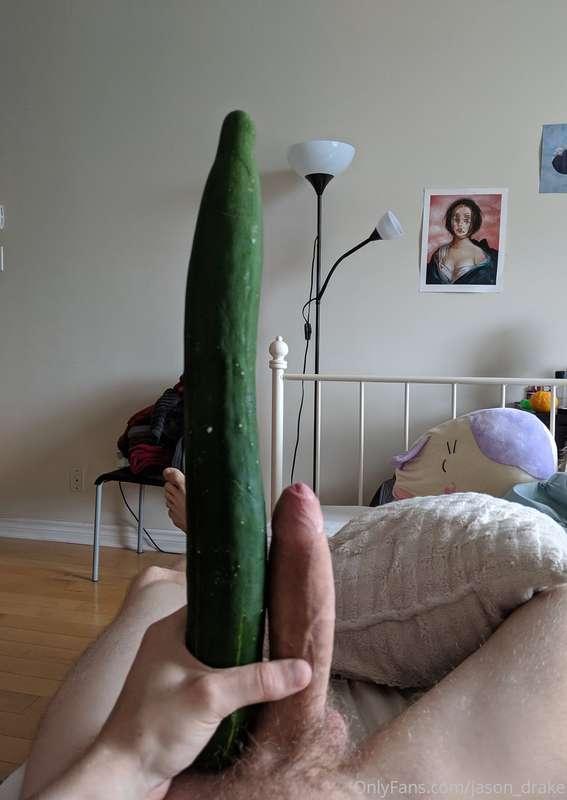 Honestly, this is the most MASSIVE cucumber that I've ever s..