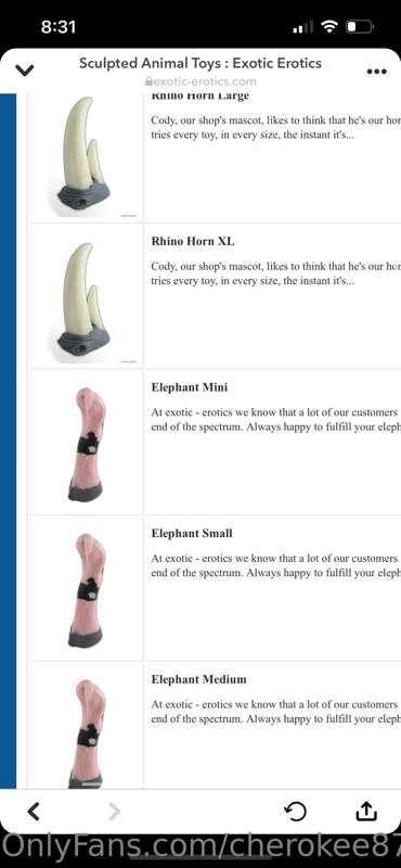 What would be good to get?? Looking into new toys since Bad ..