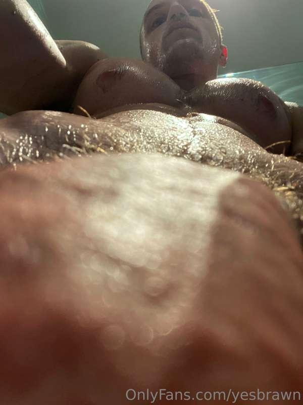 yesbrawn image #1