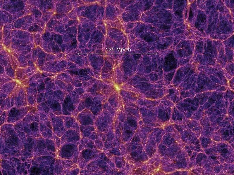 Sophia's Neural Pathways???