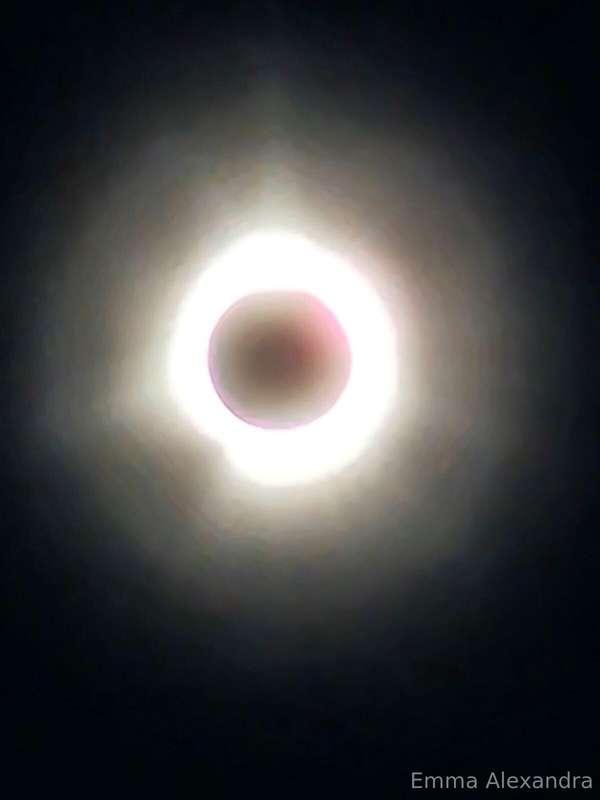 My dog and I watching the eclipse 😊