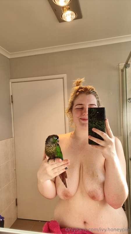 apologies my posts may be a bit slow for a moment. I am curr..